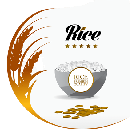 GẠO ĐẶC SẢN