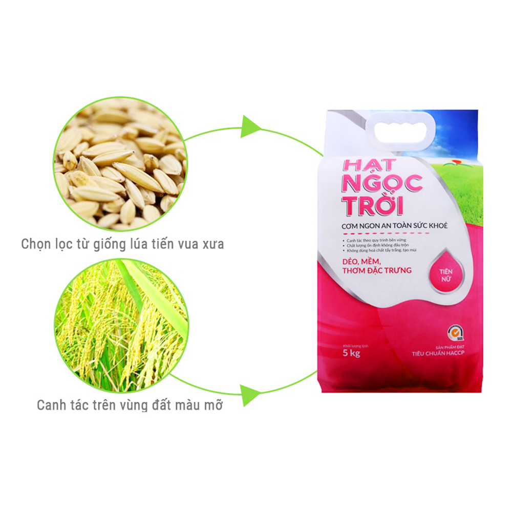 (HỘ KINH DOANH) NGUYỄN THỊ BÍCH NHUNG