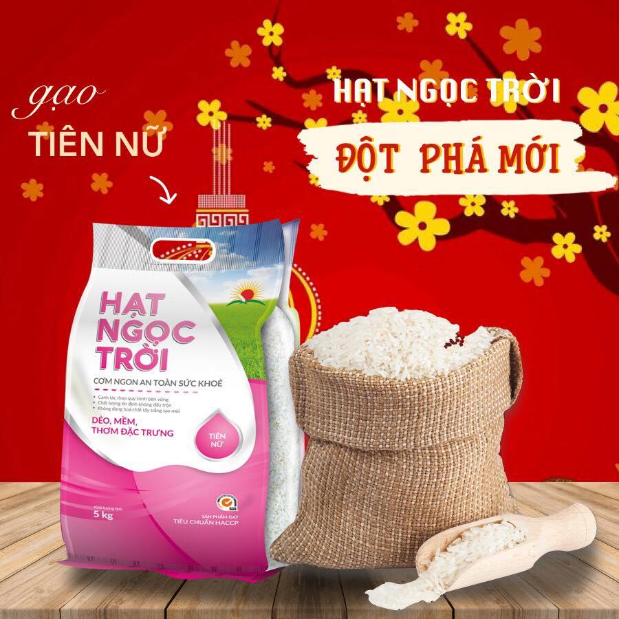 (HỘ KINH DOANH) NGUYỄN THỊ BÍCH NHUNG